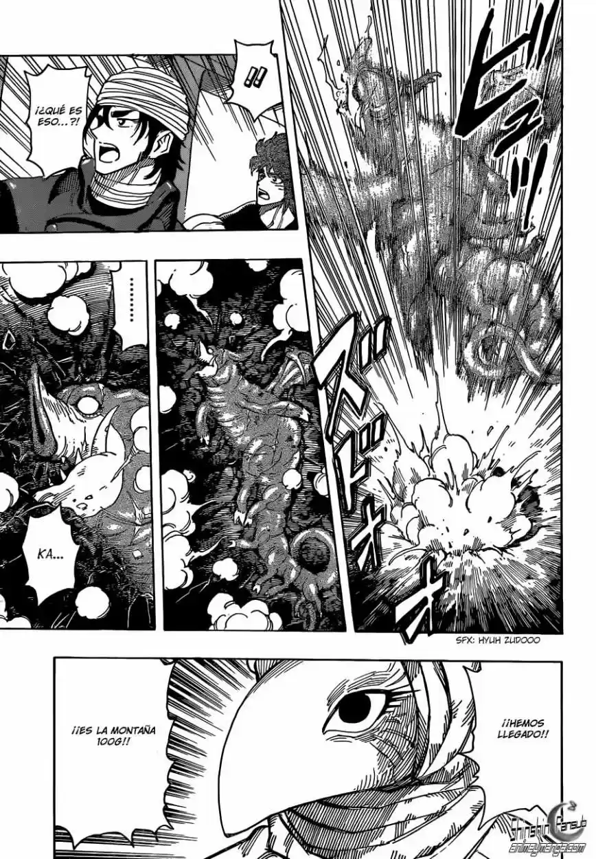Toriko (2008) - Capítulo 302 - Página 14 - LectorTMOo
