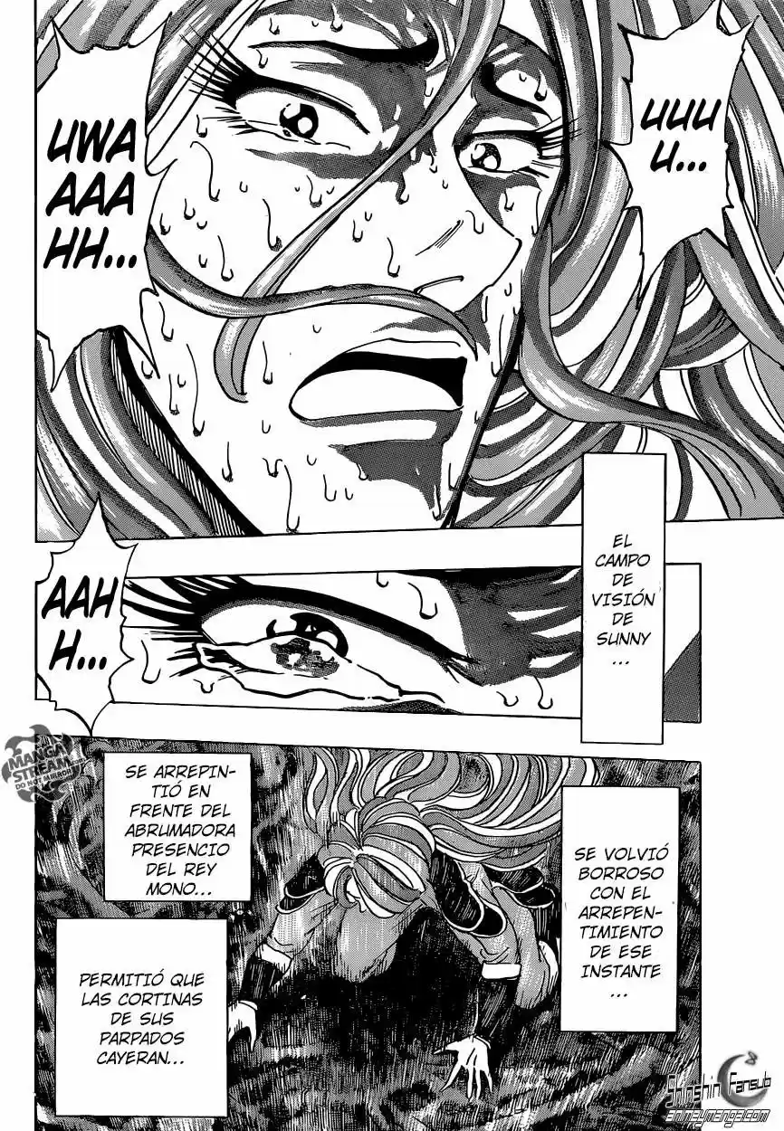 Toriko (2008) - Capítulo 303 - Página 15 - LectorTMOo