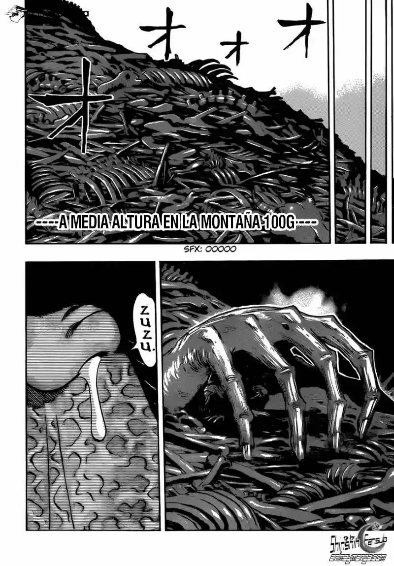 Toriko (2008) - Capítulo 305 - Página 16 - LectorTMOo