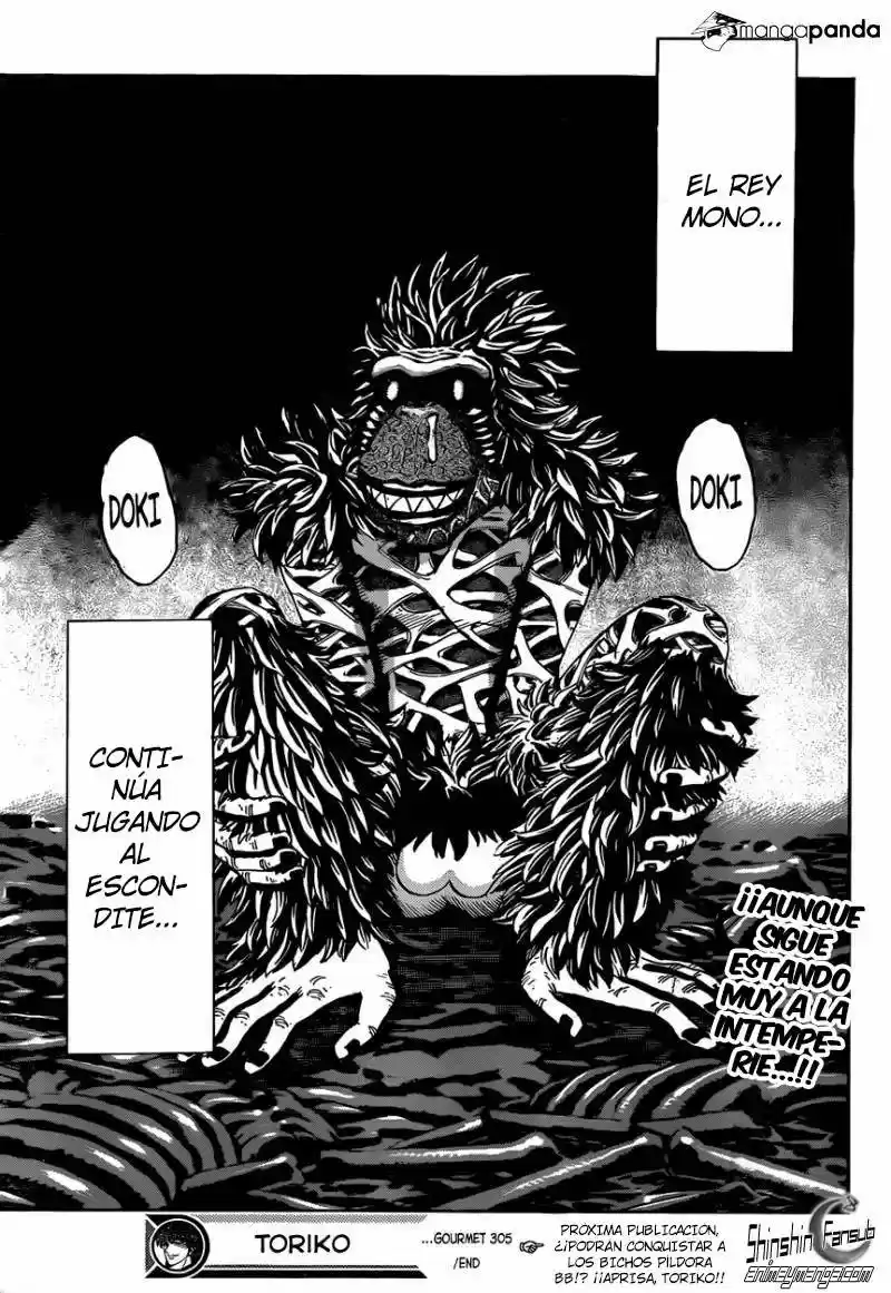 Toriko (2008) - Capítulo 305 - Página 17 - LectorTMOo