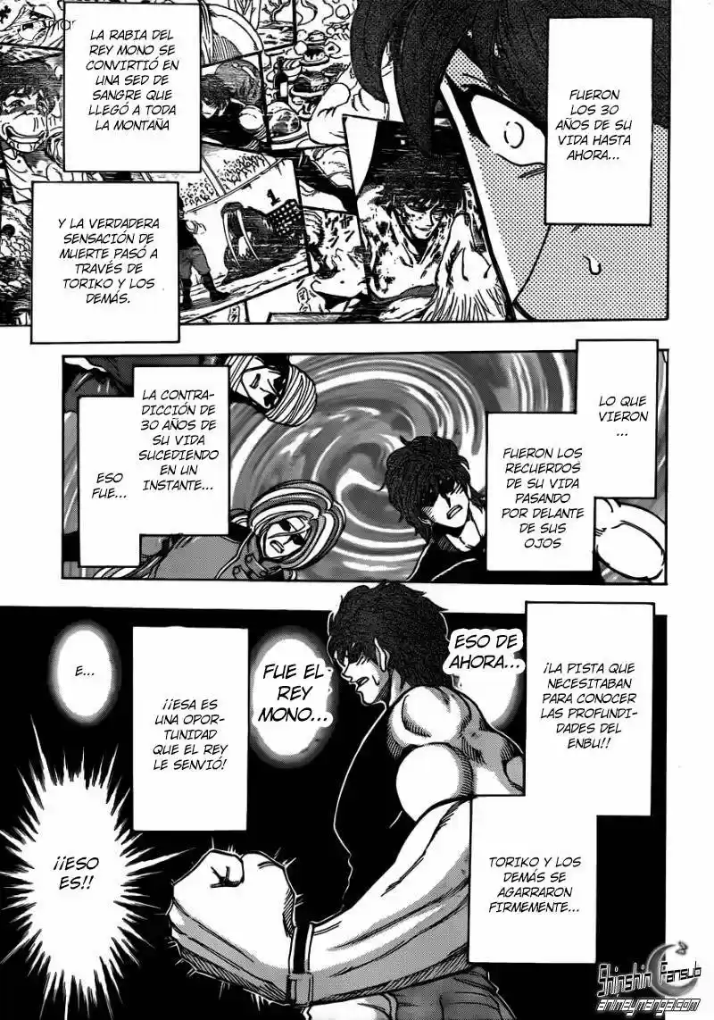 Toriko (2008) - Capítulo 306 - Página 14 - LectorTMOo