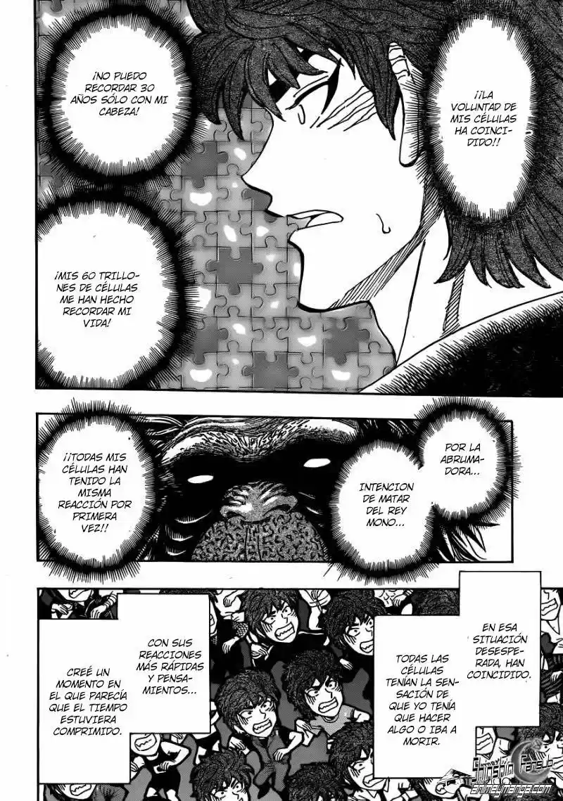 Toriko (2008) - Capítulo 306 - Página 15 - LectorTMOo