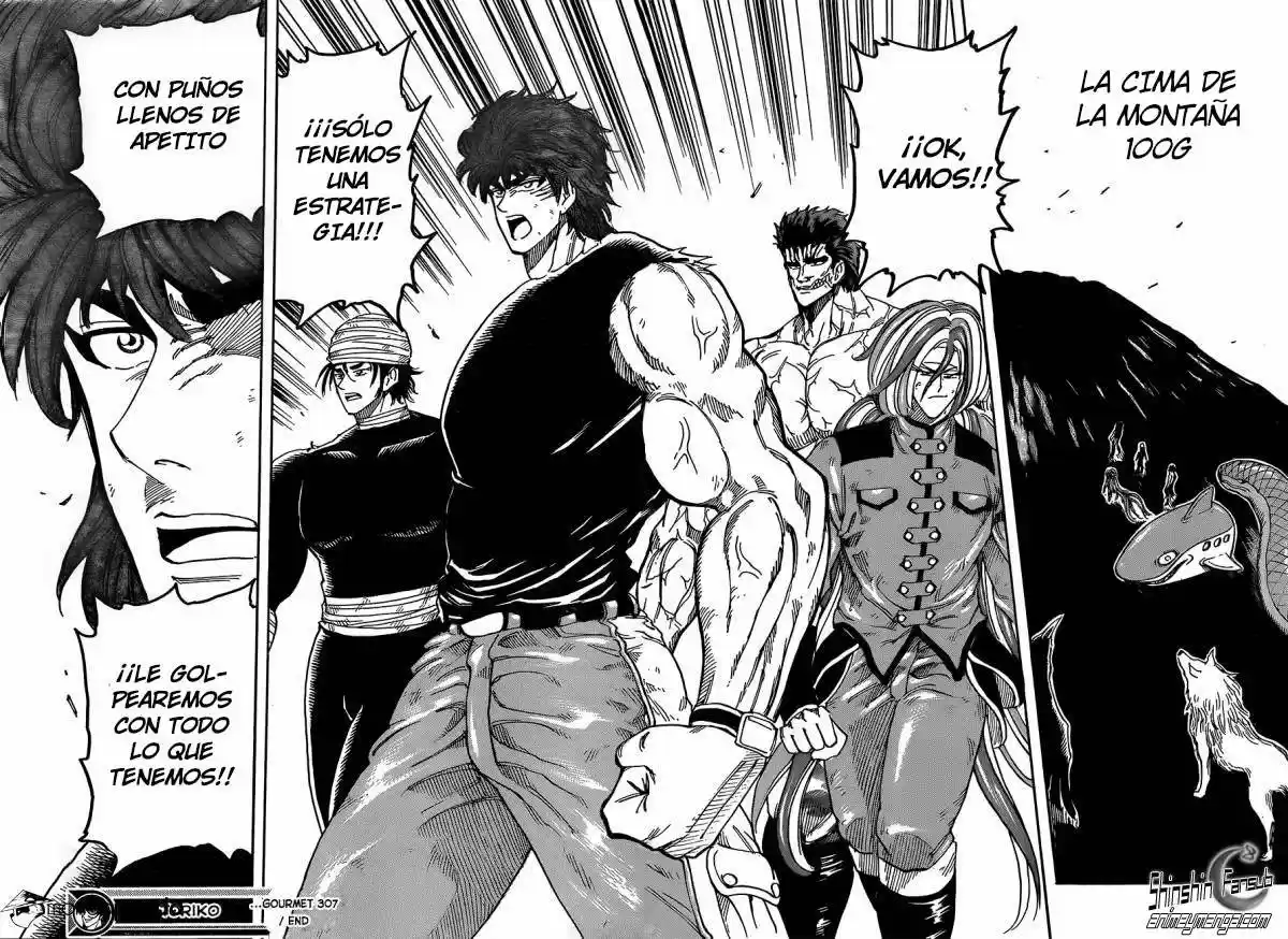Toriko (2008) - Capítulo 307 - Página 19 - LectorTMOo