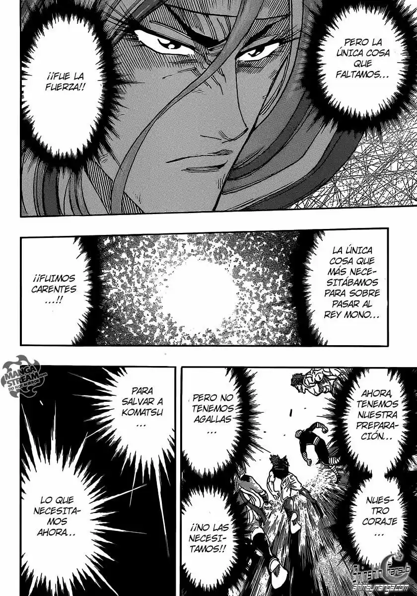 Toriko (2008) - Capítulo 308 - Página 15 - LectorTMOo