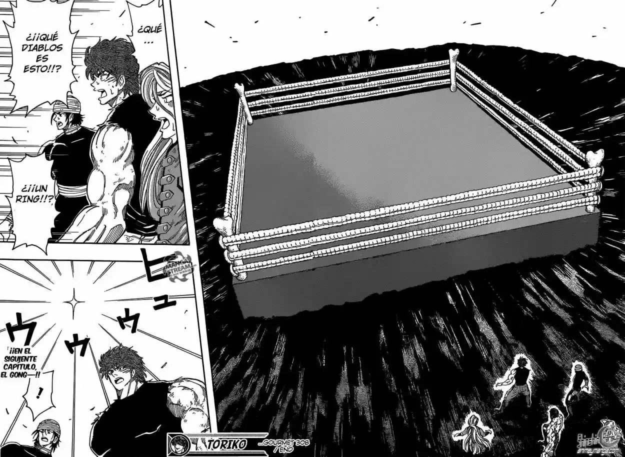 Toriko (2008) - Capítulo 308 - Página 17 - LectorTMOo