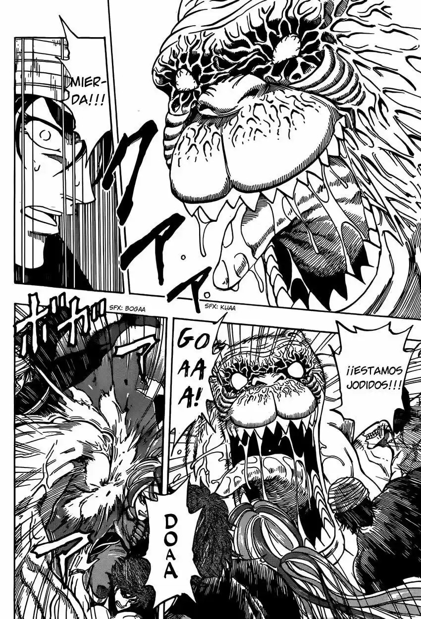 Toriko (2008) - Capítulo 314 - Página 14 - LectorTMOo