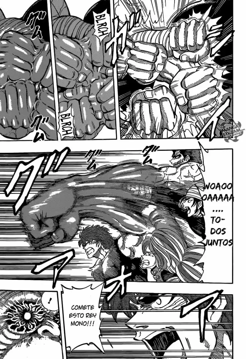 Toriko (2008) - Capítulo 314 - Página 17 - LectorTMOo