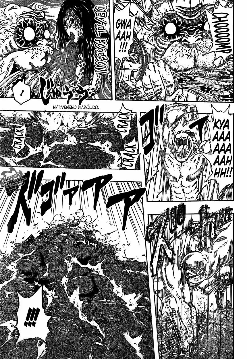 Toriko (2008) - Capítulo 315 - Página 13 - LectorTMOo