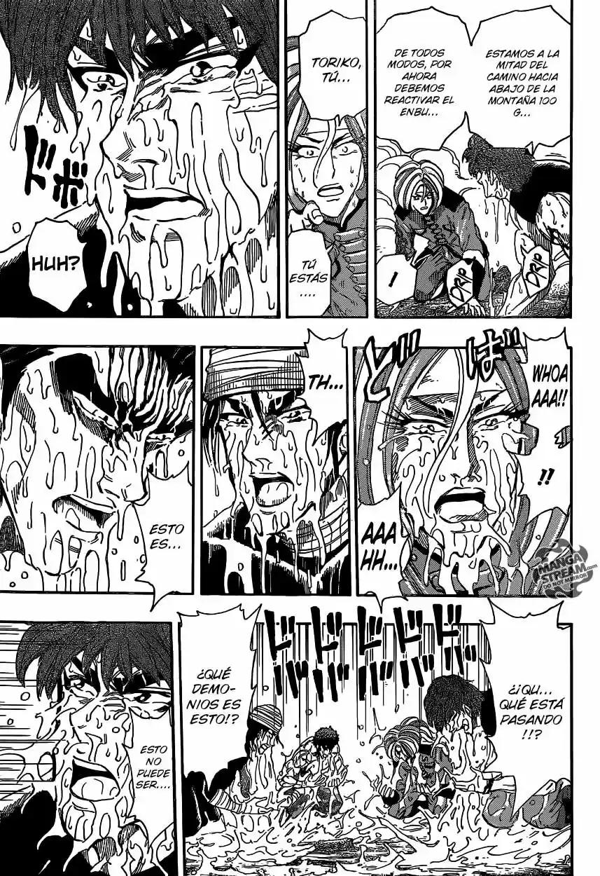 Toriko (2008) - Capítulo 315 - Página 15 - LectorTMOo
