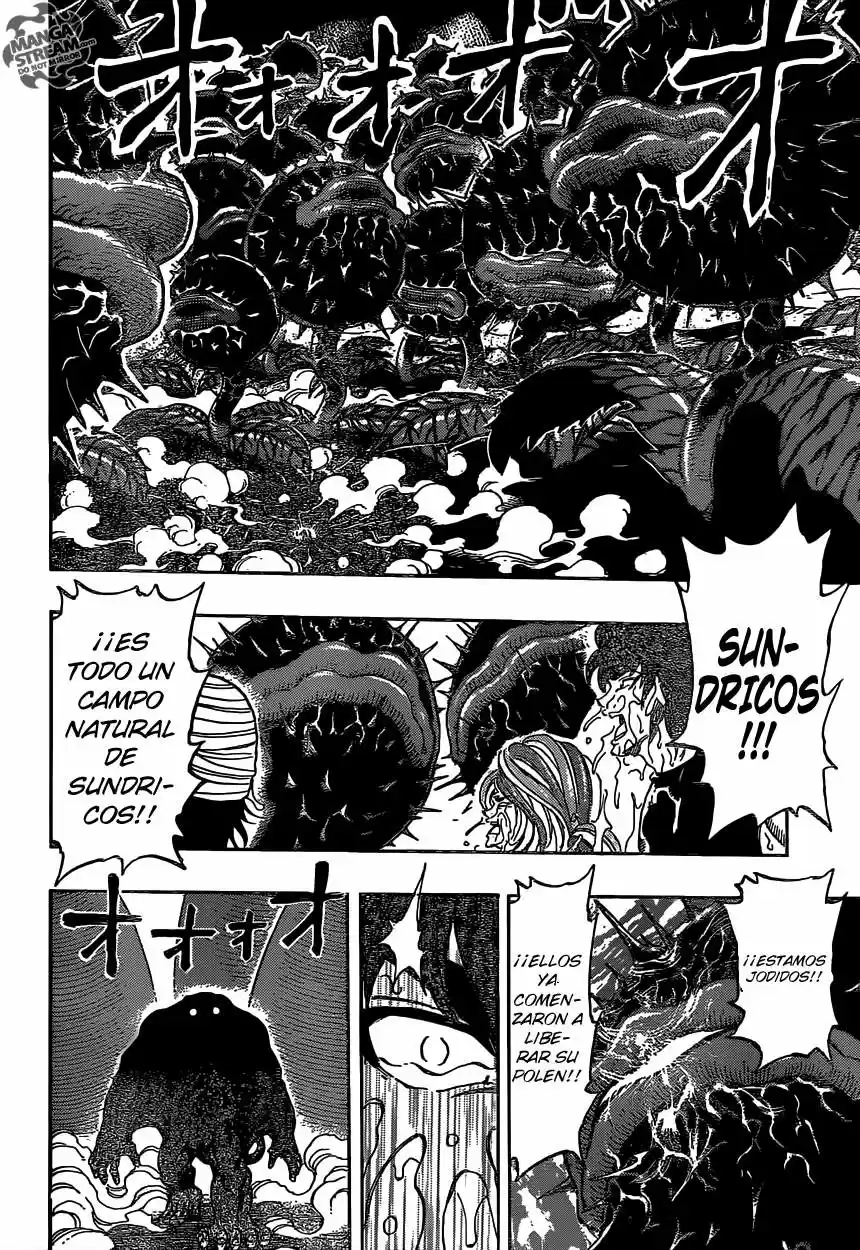 Toriko (2008) - Capítulo 315 - Página 16 - LectorTMOo