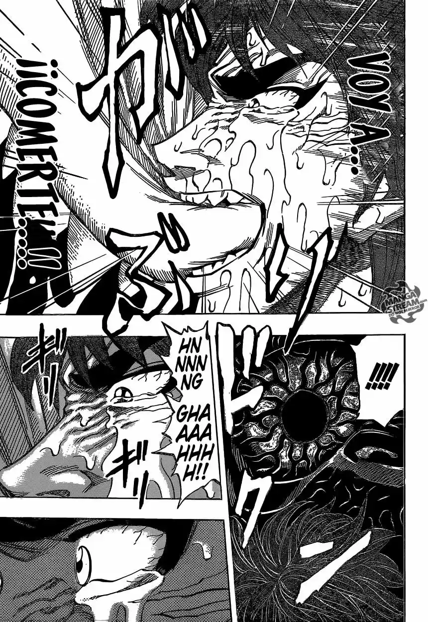 Toriko (2008) - Capítulo 315 - Página 19 - LectorTMOo