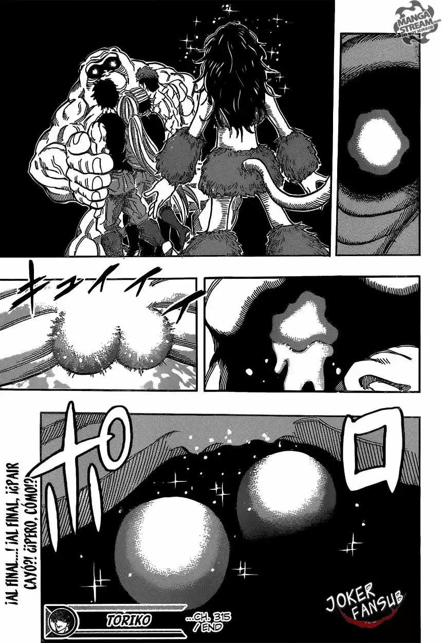Toriko (2008) - Capítulo 315 - Página 21 - LectorTMOo