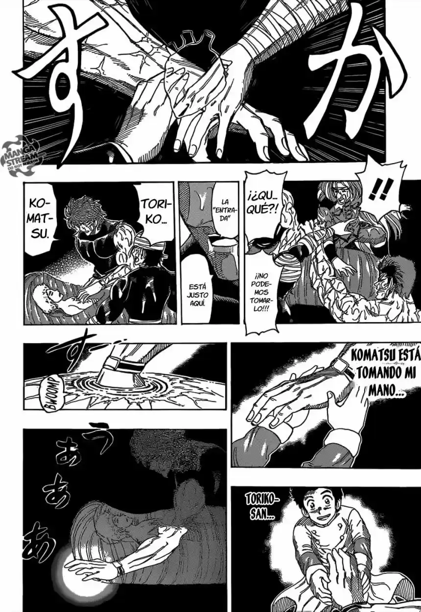 Toriko (2008) - Capítulo 317 - Página 15 - LectorTMOo