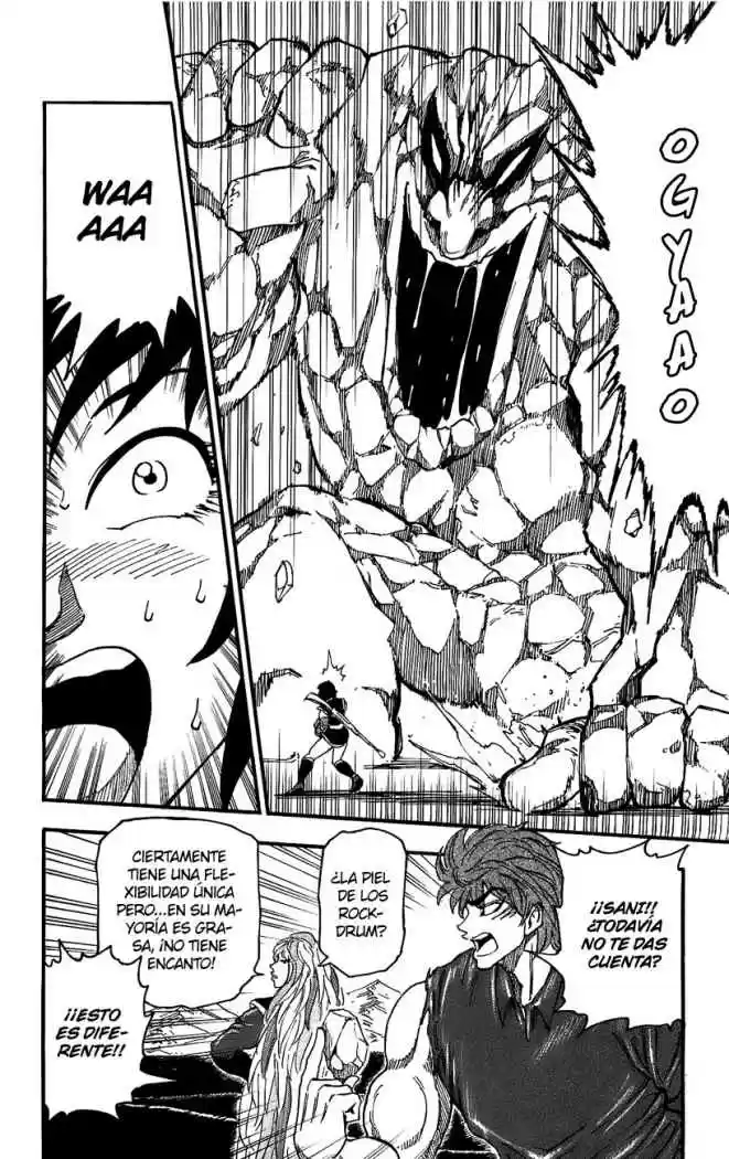 Toriko (2008) - Capítulo 32 - Página 13 - LectorTMOo