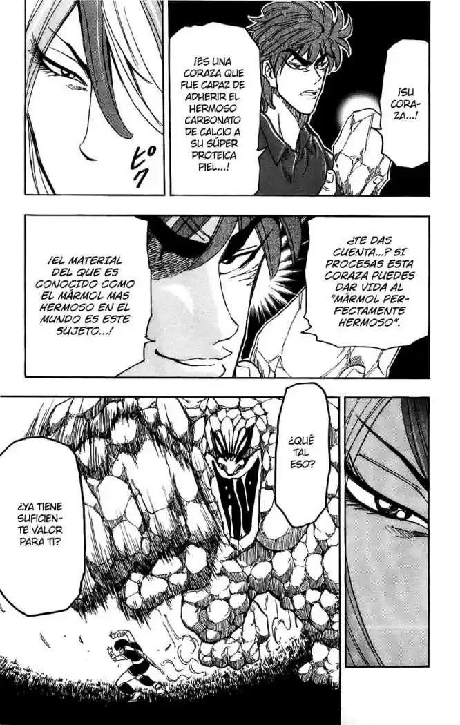 Toriko (2008) - Capítulo 32 - Página 14 - LectorTMOo