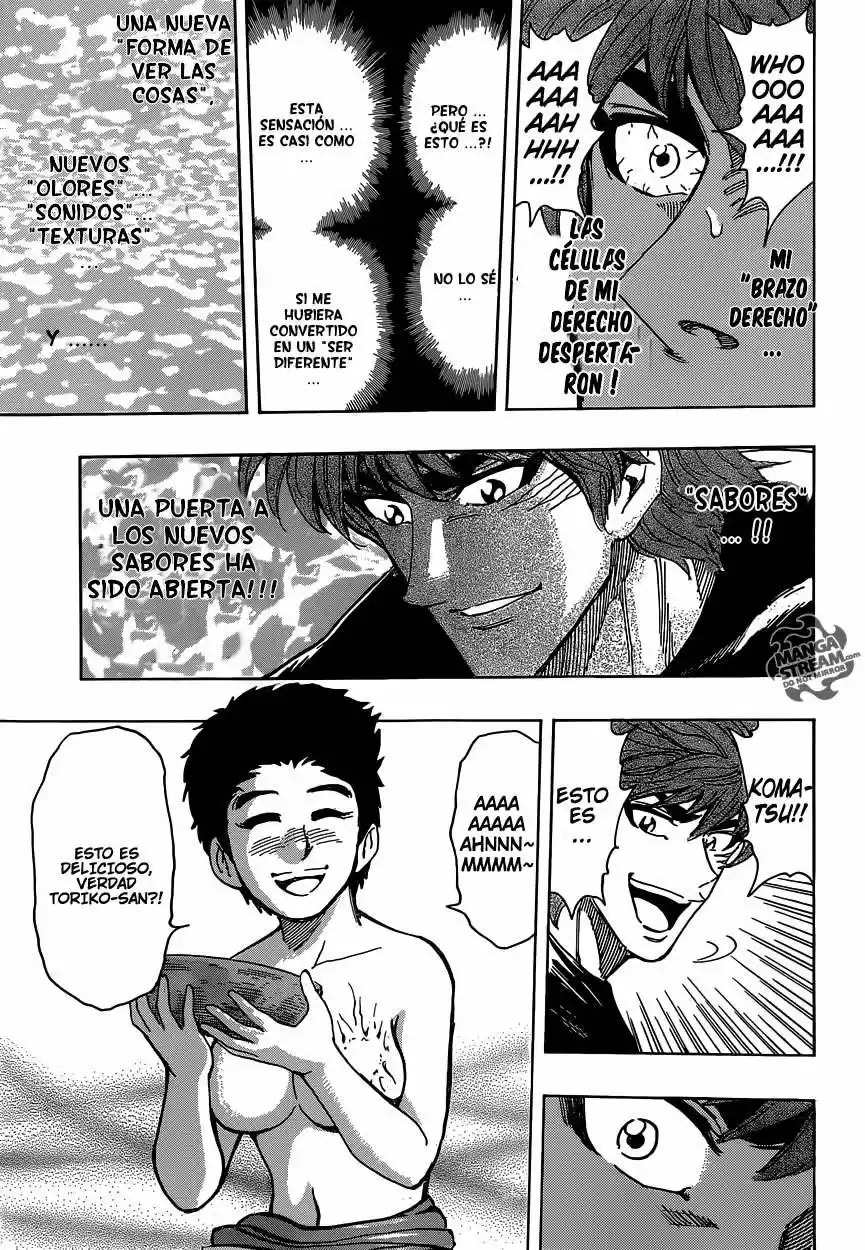 Toriko (2008) - Capítulo 320 - Página 15 - LectorTMOo