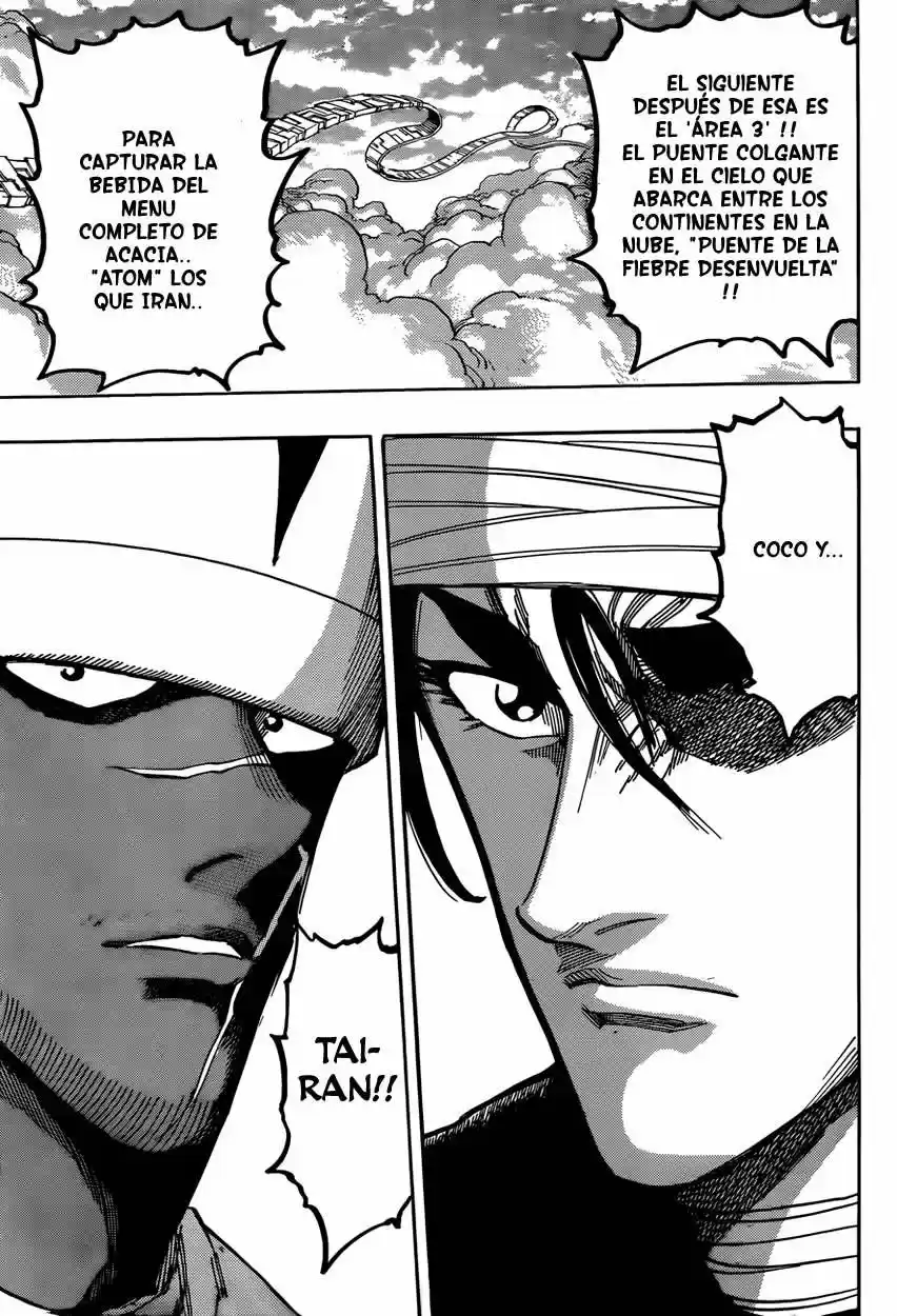 Toriko (2008) - Capítulo 326 - Página 17 - LectorTMOo
