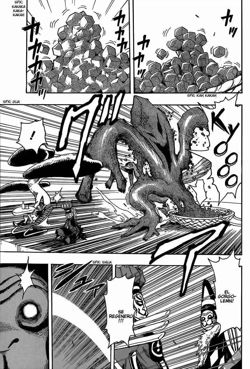 Toriko (2008) - Capítulo 329 - Página 14 - LectorTMOo