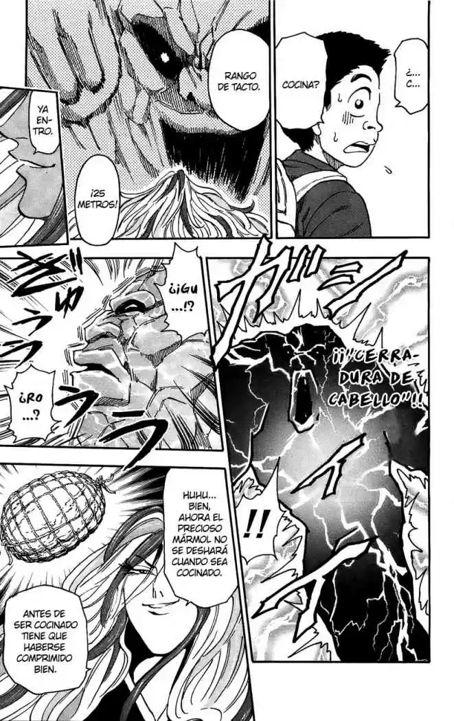 Toriko (2008) - Capítulo 33 - Página 15 - LectorTMOo