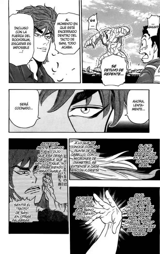 Toriko (2008) - Capítulo 33 - Página 16 - LectorTMOo