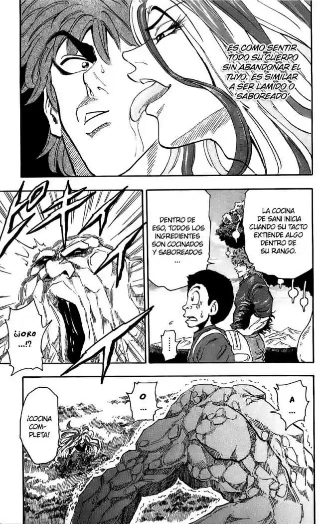 Toriko (2008) - Capítulo 33 - Página 17 - LectorTMOo