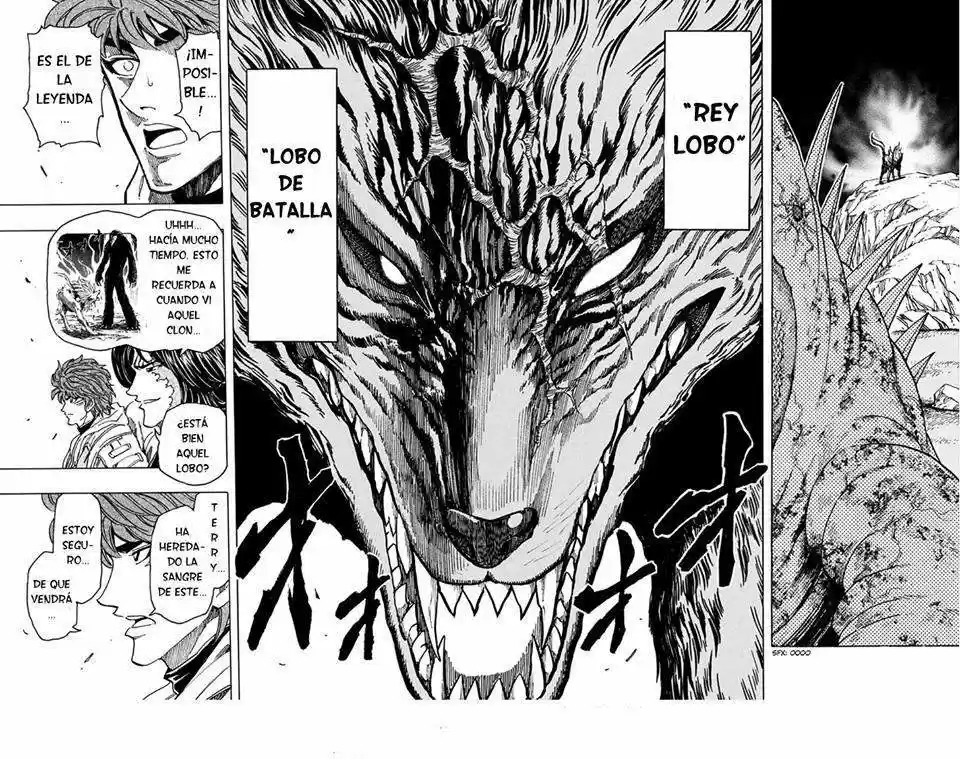Toriko (2008) - Capítulo 335 - Página 11 - LectorTMOo