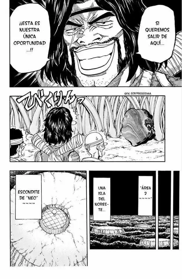 Toriko (2008) - Capítulo 335 - Página 13 - LectorTMOo