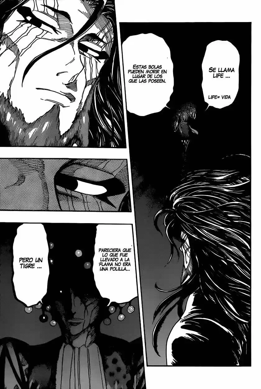 Toriko (2008) - Capítulo 337 - Página 14 - LectorTMOo