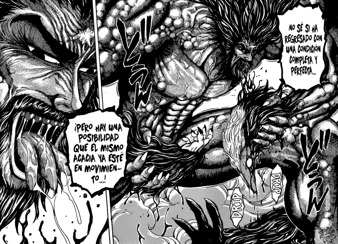 Toriko (2008) - Capítulo 339 - Página 16 - LectorTMOo