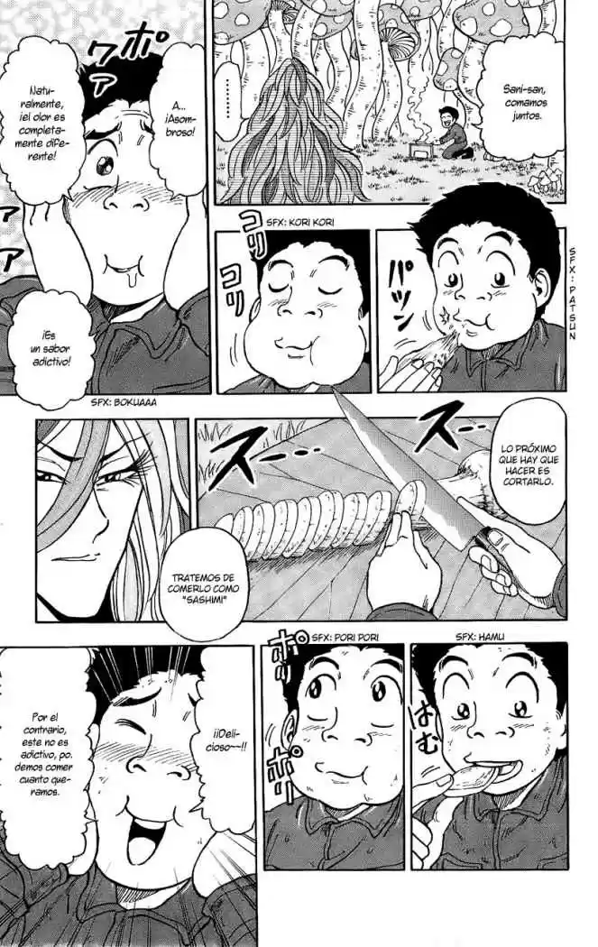 Toriko (2008) - Capítulo 34 - Página 14 - LectorTMOo