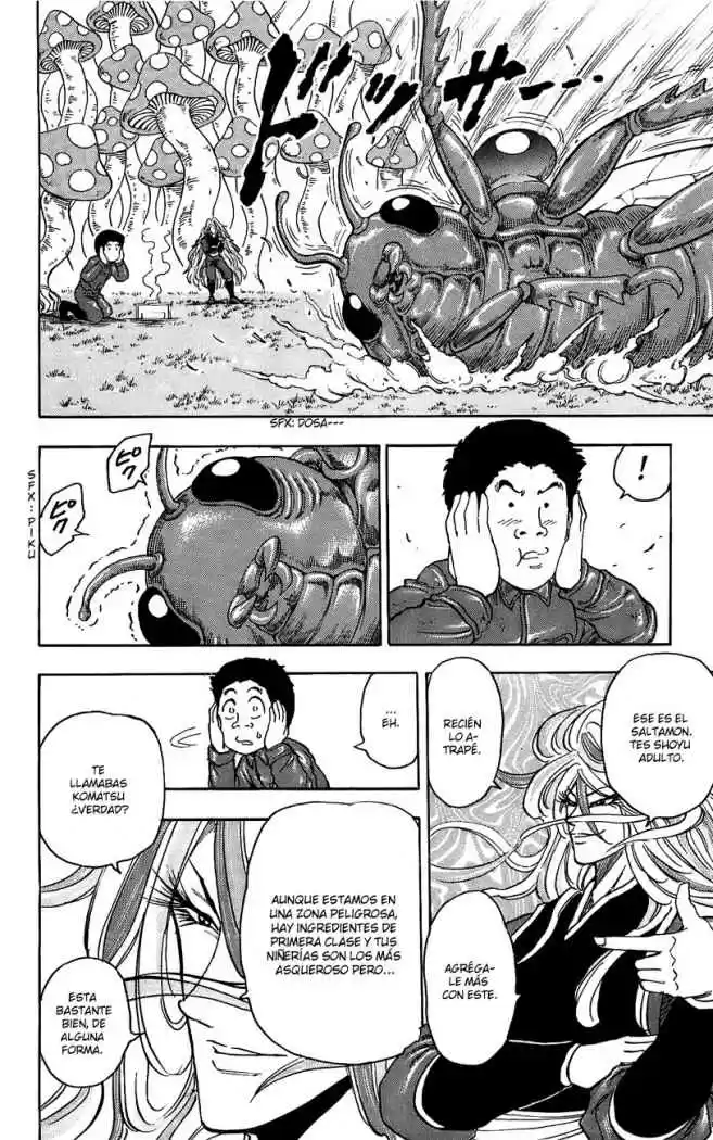 Toriko (2008) - Capítulo 34 - Página 15 - LectorTMOo