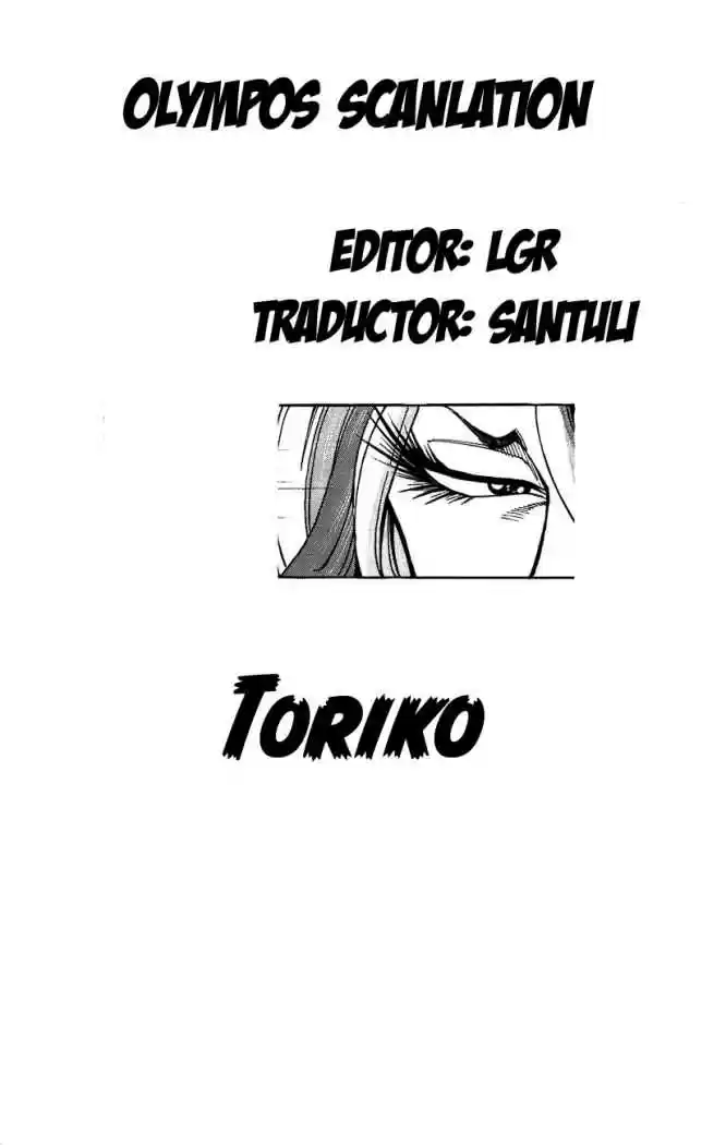 Toriko (2008) - Capítulo 34 - Página 17 - LectorTMOo