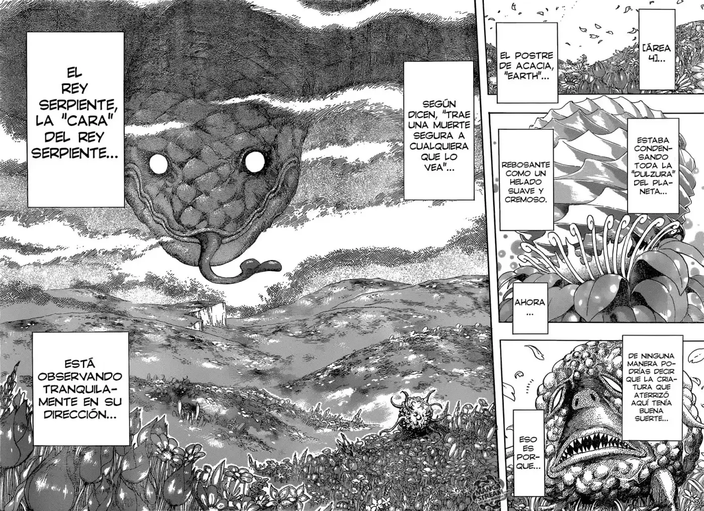Toriko (2008) - Capítulo 341 - Página 14 - LectorTMOo