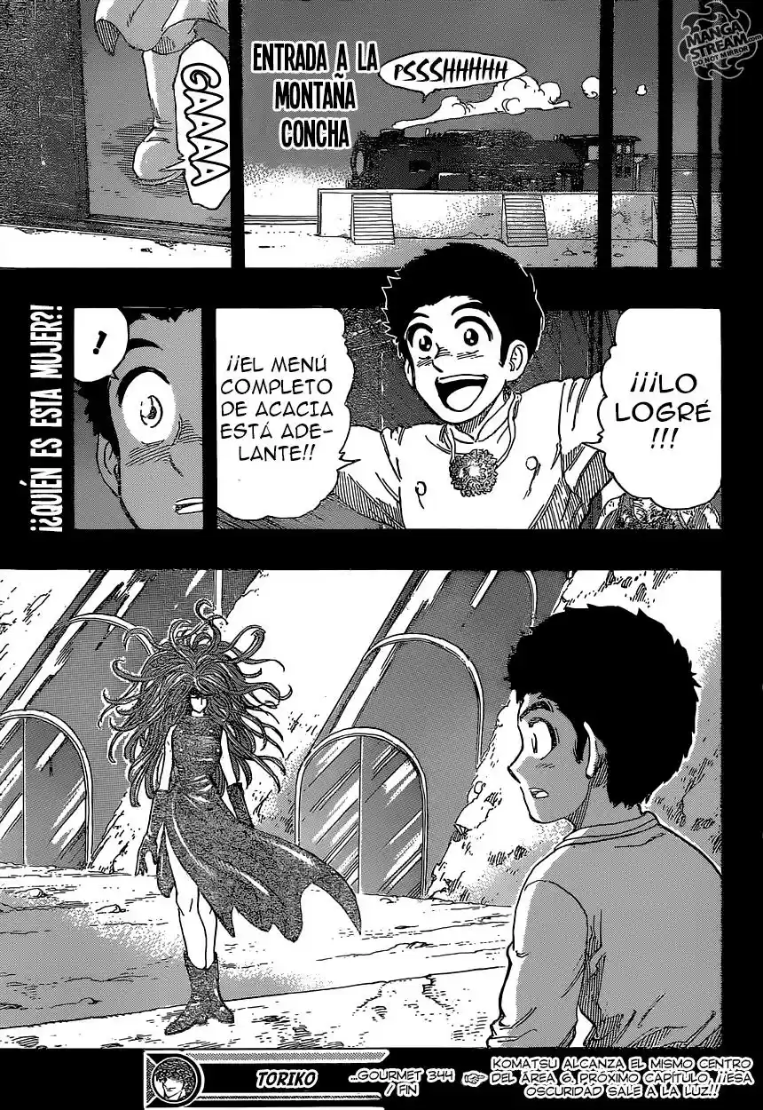 Toriko (2008) - Capítulo 344 - Página 19 - LectorTMOo