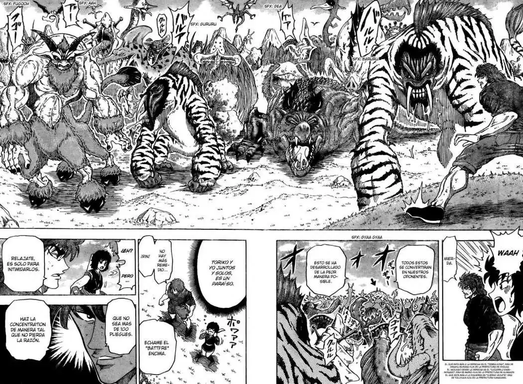 Toriko (2008) - Capítulo 35 - Página 8 - LectorTMOo