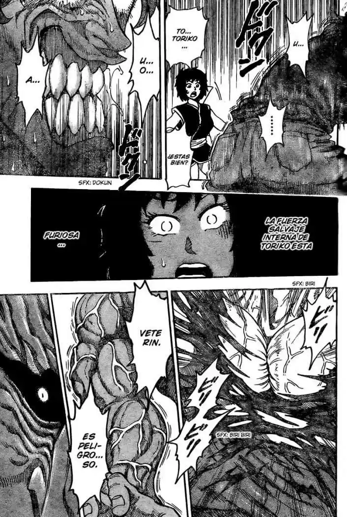 Toriko (2008) - Capítulo 35 - Página 12 - LectorTMOo