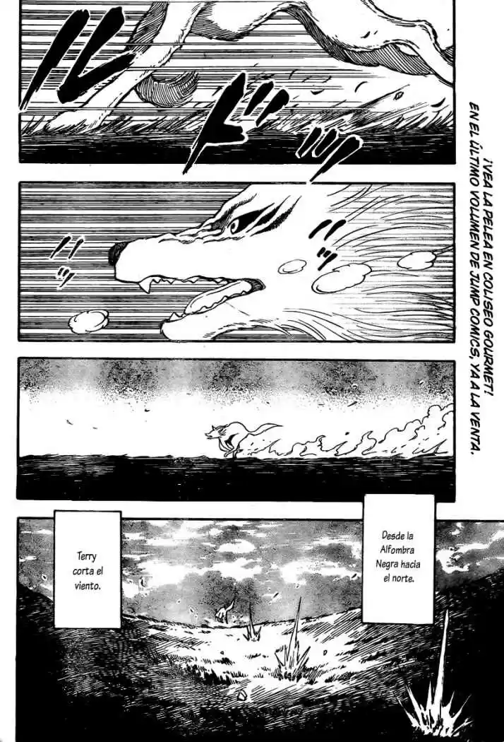 Toriko (2008) - Capítulo 36 - Página 7 - LectorTMOo