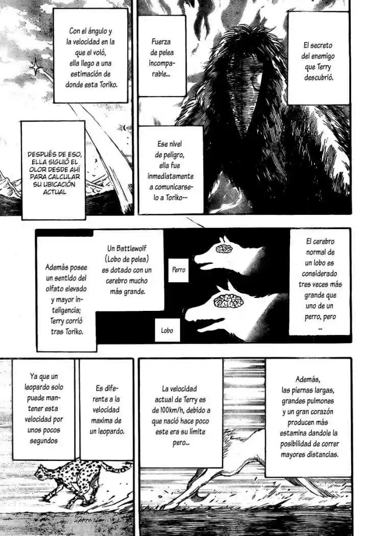 Toriko (2008) - Capítulo 36 - Página 8 - LectorTMOo
