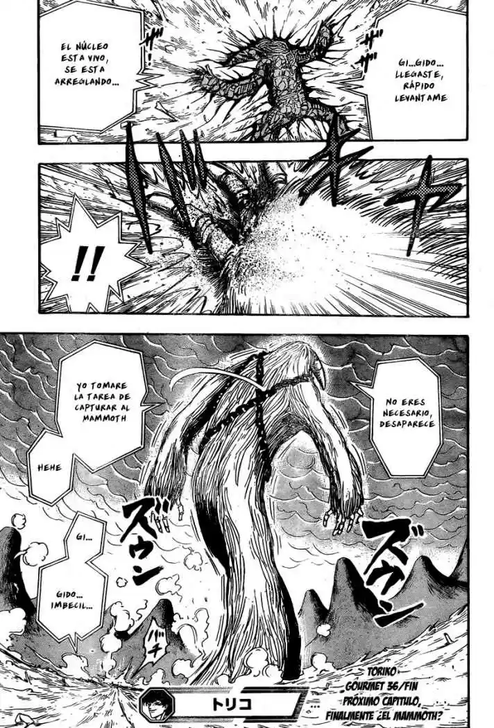 Toriko (2008) - Capítulo 36 - Página 18 - LectorTMOo