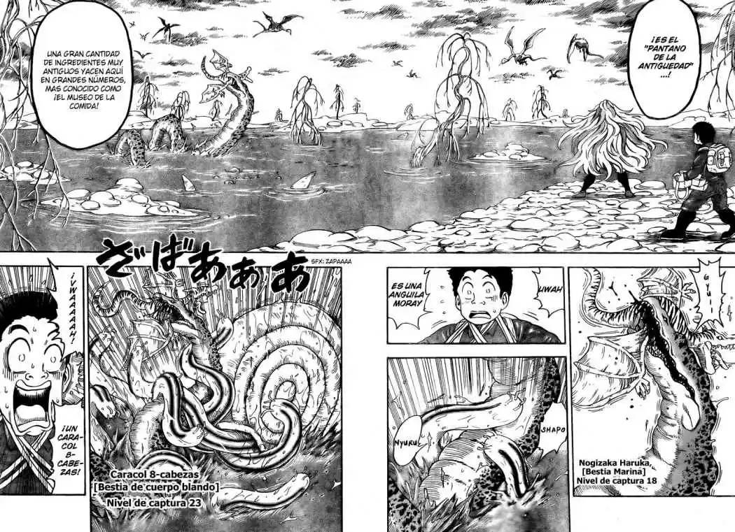 Toriko (2008) - Capítulo 37 - Página 4 - LectorTMOo