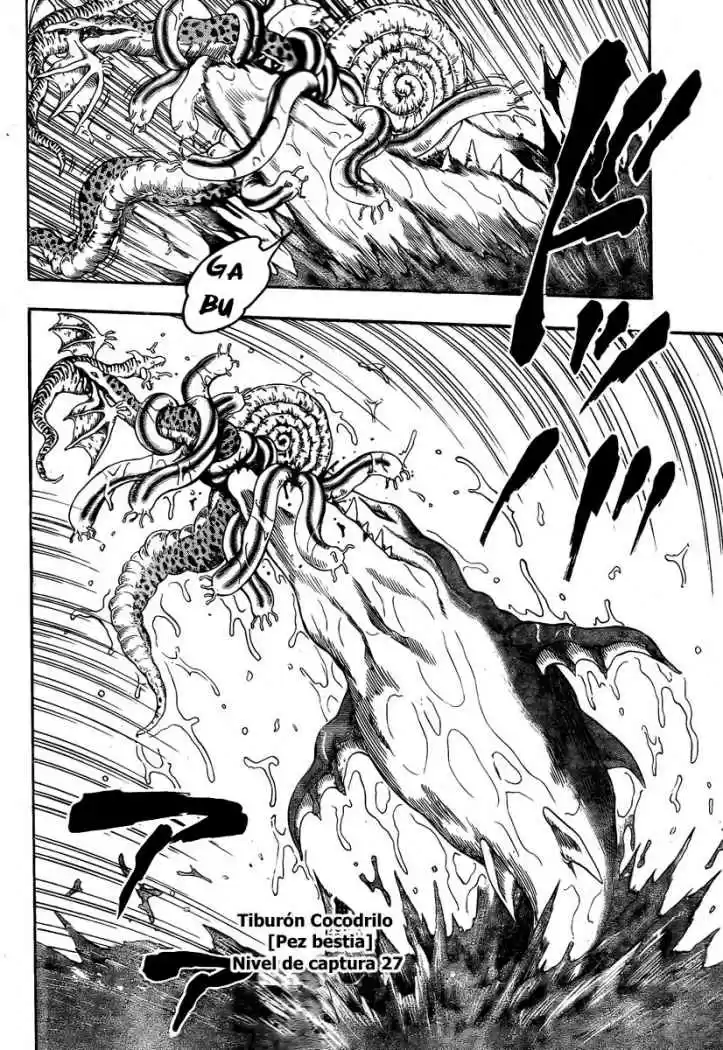 Toriko (2008) - Capítulo 37 - Página 5 - LectorTMOo