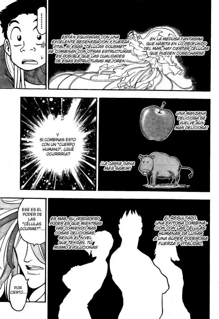 Toriko (2008) - Capítulo 37 - Página 12 - LectorTMOo