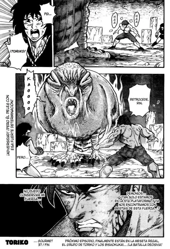 Toriko (2008) - Capítulo 37 - Página 18 - LectorTMOo