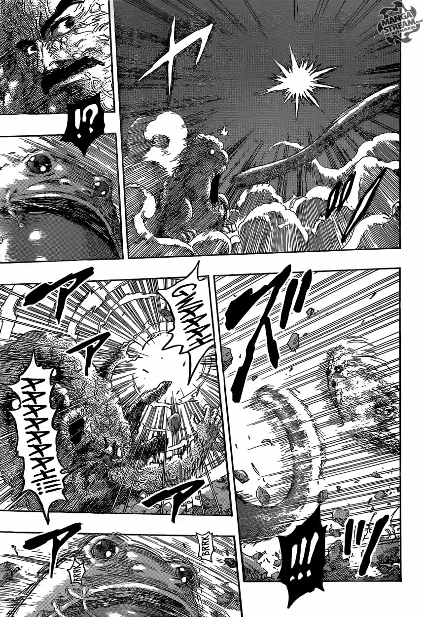 Toriko (2008) - Capítulo 375 - Página 14 - LectorTMOo