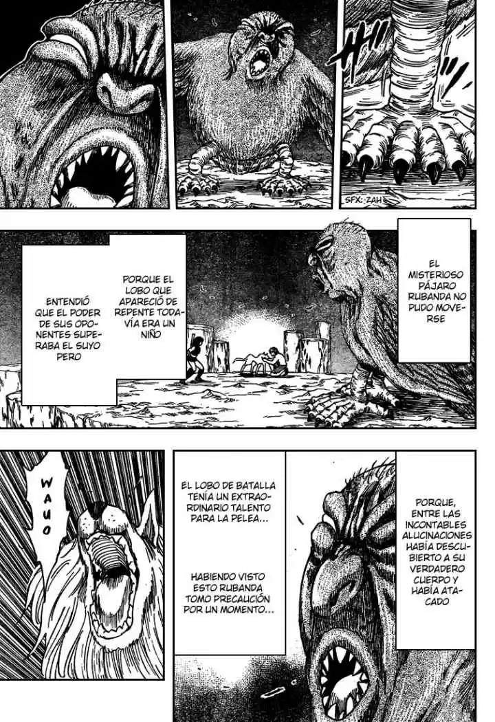 Toriko (2008) - Capítulo 38 - Página 13 - LectorTMOo