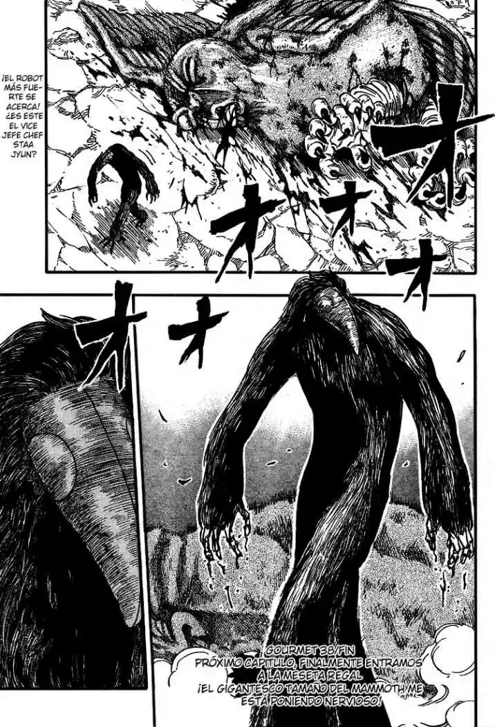 Toriko (2008) - Capítulo 38 - Página 19 - LectorTMOo