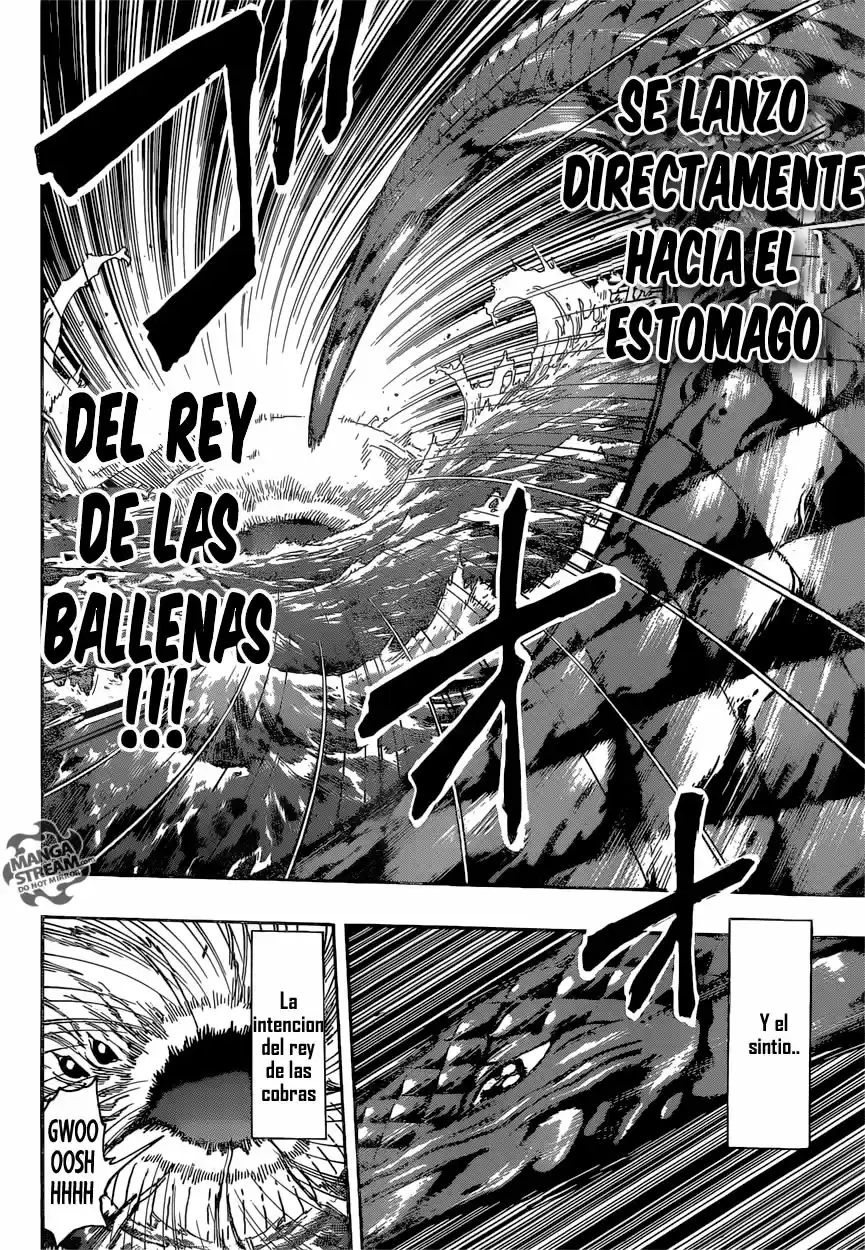 Toriko (2008) - Capítulo 382 - Página 5 - LectorTMOo