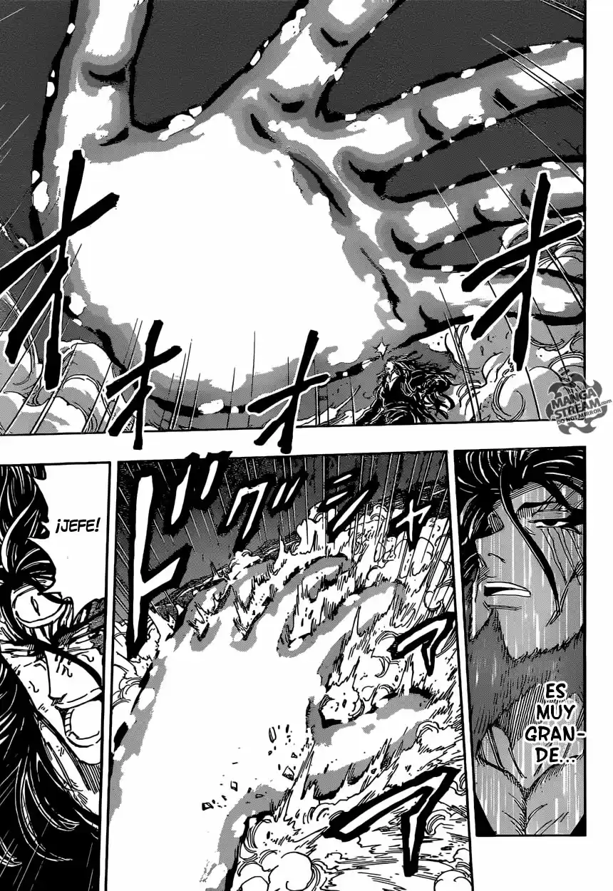 Toriko (2008) - Capítulo 386 - Página 14 - LectorTMOo