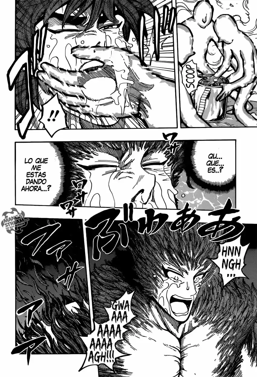 Toriko (2008) - Capítulo 387 - Página 17 - LectorTMOo