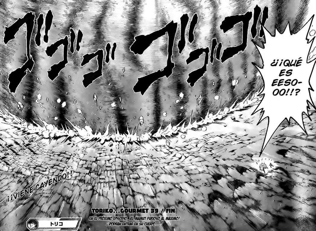 Toriko (2008) - Capítulo 39 - Página 17 - LectorTMOo